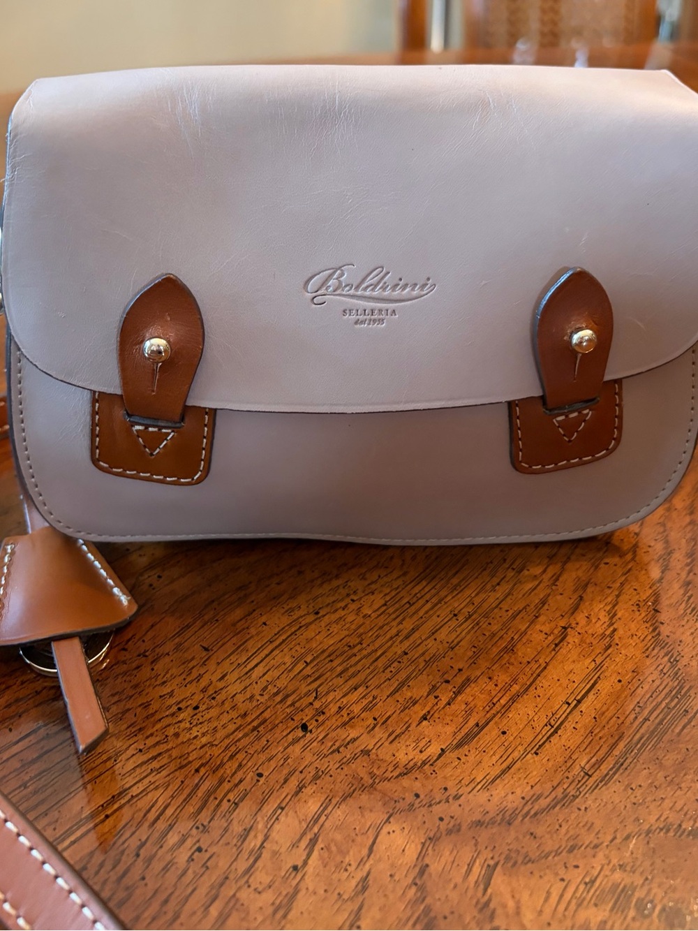 Baldinini Embossed Logo Leather Crossbody Light Taupe - EUC quiet luxury IYKYK